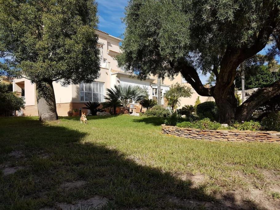 Chalet & Piscina-Jardin-Barbacoa Μούρθια Εξωτερικό φωτογραφία