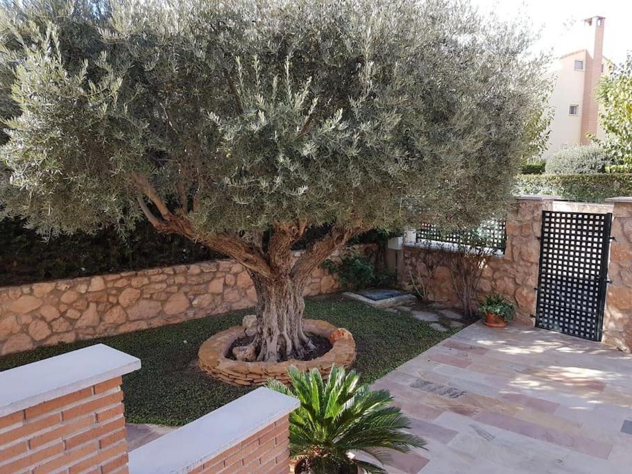 Chalet & Piscina-Jardin-Barbacoa Μούρθια Εξωτερικό φωτογραφία